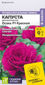 Капуста Осака красная декоративная (10шт) СА