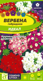 Вербена гибридная Идеал (0,1г) СА