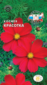 Космея Красотка (0,5г) Седек