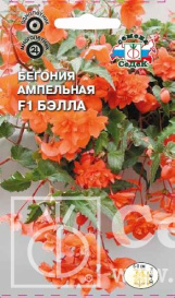 Бегония Бэлла F1 (ампельная) (10) Седек