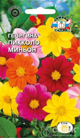 Георгина Пикколо Миньон (смесь) (0,2г) Седек