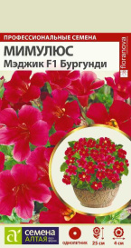 Мимулюс Мэджик Бургунди (10шт) СА 